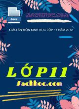 Giáo án môn sinh học lớp 11 năm 2012